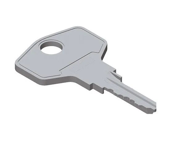 B8842 Metal Key